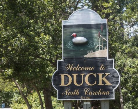duck nc