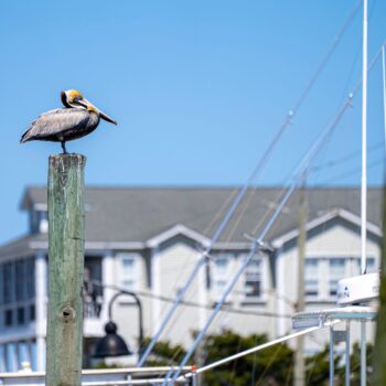 Kitty Hawk vs. Corolla vs. Duck for Second-Home Buyers