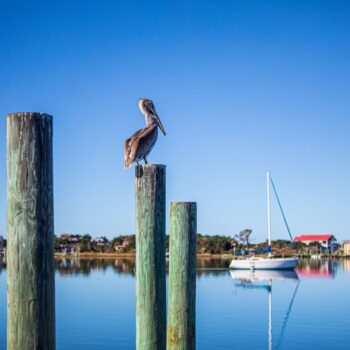 Manteo vs. Nags Head: Which Outer Banks Town Should You Choose?